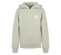 Kapuzensweatshirt MISTERTEE "MisterTee Wildest Dreams Basic Kids Hoody", Jungen, Gr. 134/140, beige (softsalvia), 65% Baumwolle, 35% Polyester, bedruckt, Rundhals, Sweatshirts (25857323-134) softsalvi