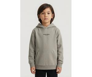 Kapuzensweatshirt NAME IT "NKMBRODY LS NREG SWEAT WH BRU NOOS", Jungen, Gr. 158/164, shadow, Sweatware, Obermaterial: 70% Baumwolle, 30% Polyester, bedruckt, unifarben, normal normal, Rundhals, Rippbü