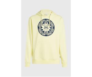 Kapuzensweatshirt O'NEILL "O'NEILL MUSTHAVE GRAPHIC HOODIE", Herren, Gr. M (50), weiß, neutral, Obermaterial: 60% Baumwolle, 40% Polyester, Sweatshirts, normale Passform, mit dreiteiliger Kapuze, mit 