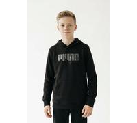 Kapuzensweatshirt PUMA "ESS LOGO LAB STORY 2 HOODIE TR B", Jungen, Gr. 164, puma schwarz, Sweatware, Obermaterial: 68% Baumwolle, 32% Polyester, bedruckt, regular fit normal, angesetztes Bündchen, Swe
