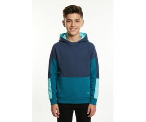 Kapuzensweatshirt TROLLKIDS "KIDS RONDANE SWEATER", Jungen, Gr. 116, blau (blau, multi), Sweatware, Obermaterial: 100% Baumwolle, Rippbündchen, Sweatshirts, mit farblich passender Fütterung, aus Baumw