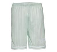 Shorts KARL KANI "Karl Kani Herren KM232-005-1 KK Retro Pinstripes Mesh Shorts", Herren, Gr. S, US-Größen, light mint, weiß, 100% Polyester (Recycelt), gestreift, normal, Hosen (63292213-S) light mint
