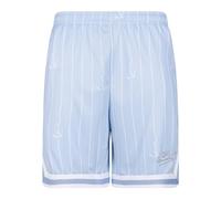Karl Kani Herren KM242-012-3 Small Varsity Logo Pinstripe Mesh Shorts Light Blue/White, M