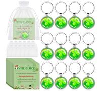 Kasyat 12 Set Glücksbringer inklusive 12 Glücksbringer Schlüsselanhänger 12 Viel Glück Karten und 12 Netzbeutel Glück Geschenk für Kollegen Lehrer Freunde zum Weihnachten Silvester (Glück Regenbogen)