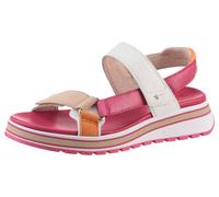 Keilsandalette TAMARIS, Damen, Gr. 39, pink (fuchsia kombiniert), Leder, Lederimitat, Veloursleder, kontrastfarbene Details, Schuhe, Trekkingsandale, Riemchensandale mit verstellbaren Klettverschlüsse