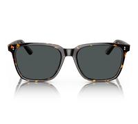 Kenora-Misty Peaks - S / Tortoise