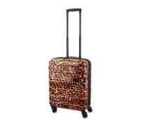 KENORADA Stratosphere Cabin Spinner S leopard