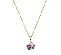 Fascination by Ellen K. Anhänger mit Kette »375/- Gold Amethyst«, gelb