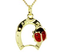 Kette und Anhänger Set OSTSEE-SCHMUCK "- Hufeisen mit Marienkäfer - Gold 333/000 -" Gr. 42, gold (gold 333, goldfarben, gelb), Schmuck_Sets, Damen, 42, Gelbgold 333 (36435929-42) gold 333, goldfarben,