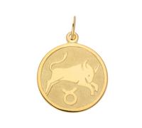 Kettenanhänger ADELIA´S "Damen Gold Schmuck 333 Gold Sternzeichen Anhänger Stier", gold, Schmuckanhänger, Damen, Stier, Gold, Kettenanhänger, Goldschmuck für Damen & Herren (27116450-0) gold