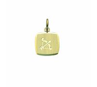 Kettenanhänger ADELIA´S "Damen & Herren 333 Gold Sternzeichen Anhänger Schütze", gold, Schmuckanhänger, Damen, Damen, Schütze, Gelbgold 333 Gold, Gelbgold 333, Gold, Kettenanhänger, Goldschmuck für Da