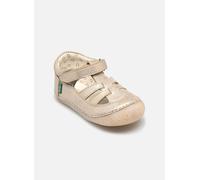 Kickers - Ballerinas Sushy - beige - Größe 23