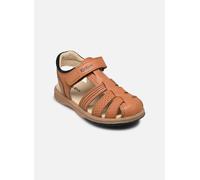 Kickers - Sandalen Platinium - braun - Größe 24