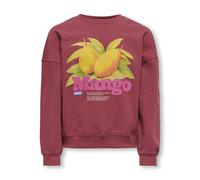 KIDS ONLY - KOGPHILEA LIFE L/S OVZFRUIT ONECK UB SWT earth red - Gr. - 146/152