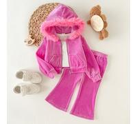 Kinder Baby Mädchen elegantes modisches bequemes Party Streetwear rosa Samt Plüsch Kapuzen Sweatshirt Jacke Sweatshirt lange Hose 2-teiliges Set, Jack