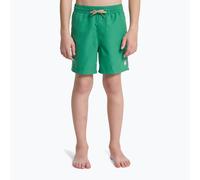 Kinder-Badeshorts Quiksilver Everyday Volley 14" leprechaun