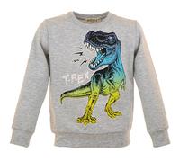 Kinder Dino Pullover | Sweatshirt Jungen | Winterpullover Dinosaurier | T-Rex Print | Baumwolle | Langarmshirt | Warmer Kinderpullover (DE/NL/SE/PL, Numerisch, 140, Regular, T-Rex 2 Grau)