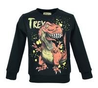 Kinder Dino Pullover | Sweatshirt Jungen | Winterpullover Dinosaurier | T-Rex Print | Baumwolle | Langarmshirt | Warmer Kinderpullover (DE/NL/SE/PL, Numerisch, 140, Regular, T-Rex 1 Schwarz)