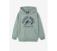 Kinder Kapuzensweatshirt JURASSIC WORLD moosgrün Gr. 110