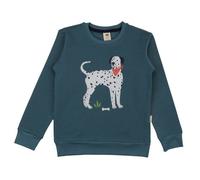 Kinder Sweatshirt Bio-Baumwolle grün Walkiddy Green, GOTS-zertifiziert, weich und robust, vegan, fair produziert, perfekter Alltagsbegleiter für Kindergarten und Schule Grün 122