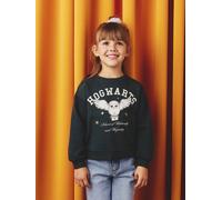 Kinder Sweatshirt HARRY POTTER tannengrün Gr. 146/152