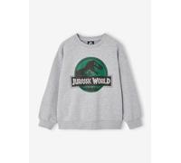 Kinder Sweatshirt JURASSIC WORLD grau Gr. 128