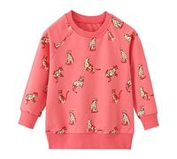 Kinder Sweatshirt Mädchen Süß Cartoon rosa lila Kawaii Pullover Langarm T-Shirt Baumwolle Einhorn Sweatshirt Baby Langarmshirt Sweatshirt Sport Oberteile 1-8 Jahre Leopard 6T