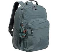 Kipling Seoul Laptop-Rucksack, groß, 38,1 cm (15 Zoll), Helles Aloe, Light Aloe, Modern