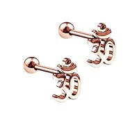 KJM FASHION 2 STK Eloxiert Rosa 1,2mm 16g 6mm 1/4 Klassisches Ohm Cartilage Helix Tragus Earrings Ohrstecker 3mm Kugel Ohrringe Piercing Schmuck 5575