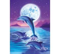 KKKKX Stickset Stickbilder Kreuzstich Vorgedruckt Delfine springen aus dem Meer 40x50cm DIY Kunst Kreuzstich Kit Stickerei, geeignet für Anfänger für die Heimdekoration (14CT vorgedruckte Leinwand
