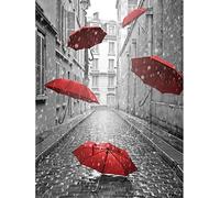 KKKKX Stickset Stickbilder Kreuzstich Vorgedruckt Pariser roter Regenschirm 40x50cm DIY Kunst Kreuzstich Kit Stickerei, geeignet für Anfänger für die Heimdekoration (14CT vorgedruckte Leinwand