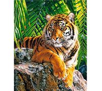 KKKKX Stickset Stickbilder Kreuzstich Vorgedruckt Tier Tiger Bilder 40x50cm DIY Kunst Kreuzstich Kit Stickerei, geeignet für Anfänger für die Heimdekoration (14CT vorgedruckte Leinwand