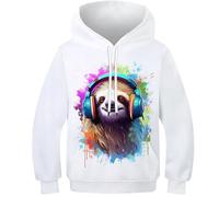 KKOLASXZE 3D Druck Faultier Hoodie KapuzenpulLieber PulLieber Unisex Sweatshirt Für Jungen Mädchen Mit Tasche 9-11Y