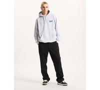 Klassische Vans Evolve PO Hoodie Herren Kapuzen-Pullover VN000RG2-02080 Grau S