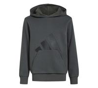adidas - Kid's Essentials Hoodie - Hoodie, Gr. 128, grau (GreySix/Black)