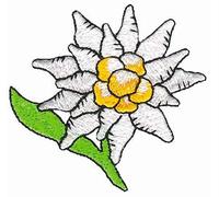 KLEIBER Edelweiss/Edelweiß Tracht Trachten - Aufnäher/Iron On Patch/Aufbügler/Applikation