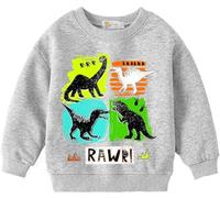 Kleine Jungen Dinosaurier Sweatshirts Kleinkind Top T-Shirt Rex Dino Baby Fossil Print Rawr Pullover