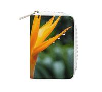 KLWQR RFID-Kreditkartenetui für Damen, niedlich, klein, Leder, Kartenhalter, Geldbörse, Himmel, Vogel-Karten-Organizer, Etui mit Reißverschluss, Stil, 16 x 11,5 cm, Stil:, 16x11.5cm