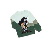 koaa - Der kleine Maulwurf “Am Graben” - Sweater Green (DE/NL/SE/PL, Numerisch, 122, Regular, Grün)