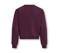 KOGSWEAT LS CREW OVZ STAT SWT NOOS 134/140