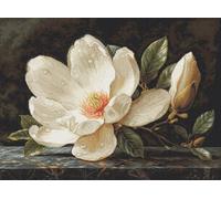 Luca-S Kreuzstich-Set Gold - Der Magnolien-Tau, B713, Kreuzstich-Set nach Zählmuster für Erwachsene, Handarbeits- und Stickset