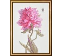 Kreuzstich Stickpackung Pfingstrosen. Anmut, Zählmuster