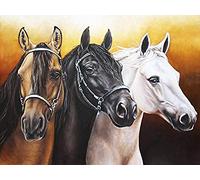 Kreuzstich Stickpackung Stickbild Stickvorlage Vorgedruckt Stickset-Drei Pferde-DIY Handarbeit Vorgedruckt Sticken Kreativität Home Decor 11CT (Vorgedruckte Leinwand)40x50cm