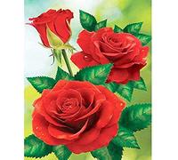 Kreuzstich Stickpackung Stickbild Stickvorlage Vorgedruckt Stickset-Drei rote Rosen-DIY Handarbeit Vorgedruckt Sticken Kreativität Home Decor 11CT (Vorgedruckte Leinwand)40x50cm