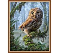 Kreuzstich Stickpackung Stickbild Stickvorlage Vorgedruckt Stickset - Tierische Eule Auf Zweig 40X50Cm Diy Handarbeit Vorgedruckt Sticken Kreativität Home Decor 11Ct (Vorgedruckte Leinwand)