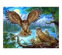 Kreuzstich Stickpackung Vogel Mond 11CT Stickbild Stickvorlage Vorgedruckt Stickset für Anfänger Home Decor 40x50cm