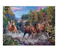 Kreuzstich Stickpackungen Vorgedruckt Set Erwachsene, Pferd Tier Stickvorlagen Stickbilder Vorgedruckt Kreuzstich Stickpackung Zum Sticken Starter Set FüR Erwachsene Kinder AnfäNger, Cross Stitch Kit