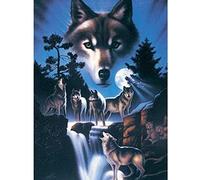 Kreuzstich Vorgedruckt Set Erwachsene Tier Wolf Stickvorlagen Stickbilder Kreuzstich Stickpackung Sticken Starter Set für Erwachsene Kinder AnfäNger-40x50cm