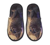 Kuilepa Damen-Hausschuhe, flauschig, für drinnen und draußen, mit Katzenmotiv, Violett, Schwarz, 6-8.5 Women/6-8 Men