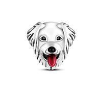 KUNVONIC Charm Anhänger Damen 925 Sterling Silber für Armband Charms Beads passend für Pandora Armband und Halskette, Kompatibel mit Europäischen Armbänder für Frauen Mädchen